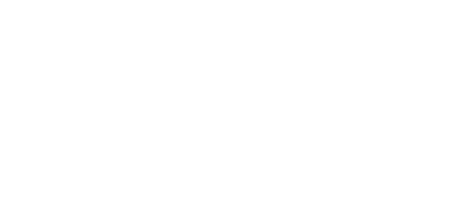 BSVK Logo