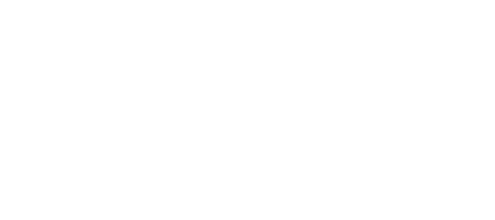 Wirtschaftskammer Logo